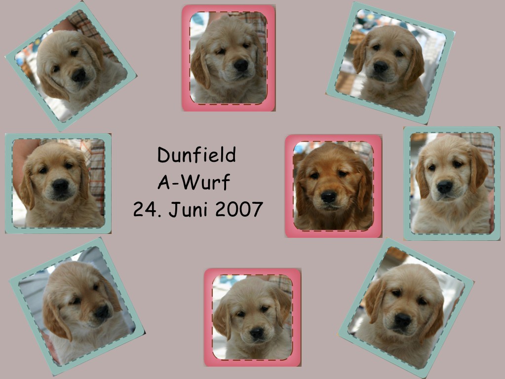 A -Wurf zum 6. geburtstag!