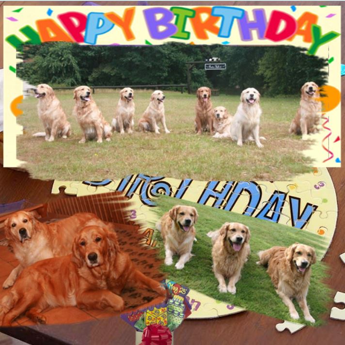 A-Wurf zum 7. Geburtstag A-Wurf zum 7. Geburtstag