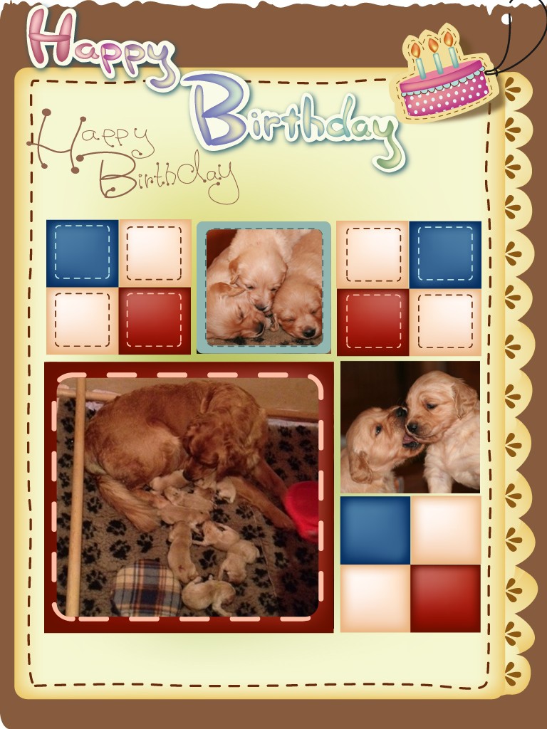 Happy Birthday B-Wurf!