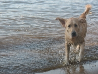 IMG_2661_1 IMG_2661_1