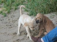 IMG_2662_1 IMG_2662_1