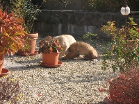 IMG_2748_1 IMG_2748_1