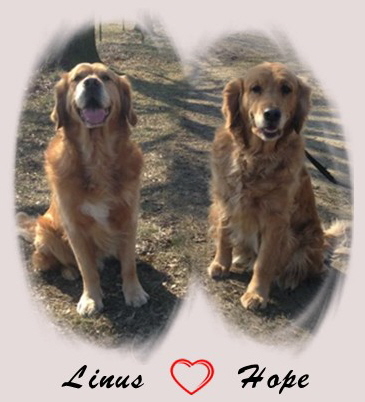 Linus und Hope 27.03.2013 Linus und Hope 27.03.2013