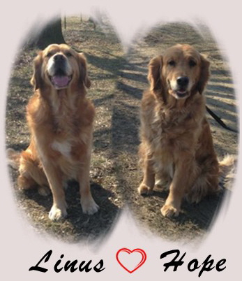 Linus und Hope