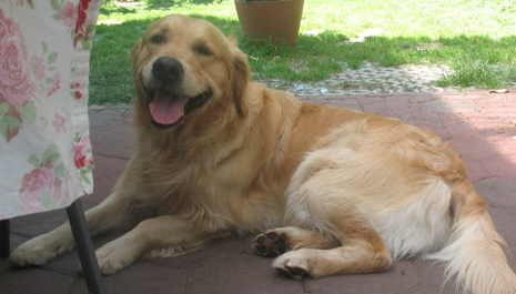 Anton