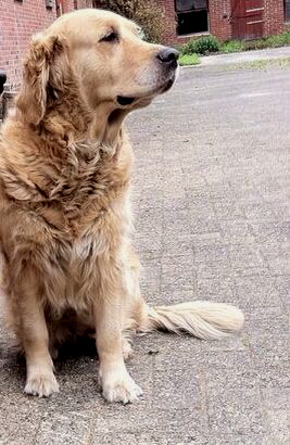 Emma mit 10 Jahren