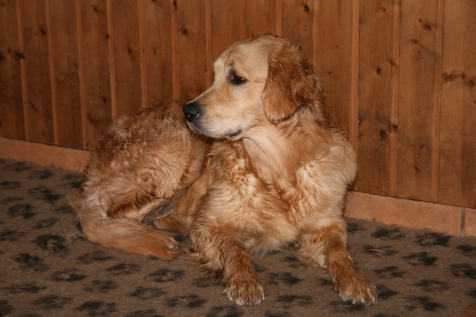 IMG 0454